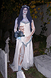 The Corpse Bride Icon